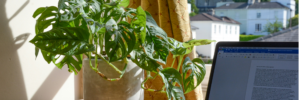 Close-up of desk by a window with a laptop, plant and notebook.