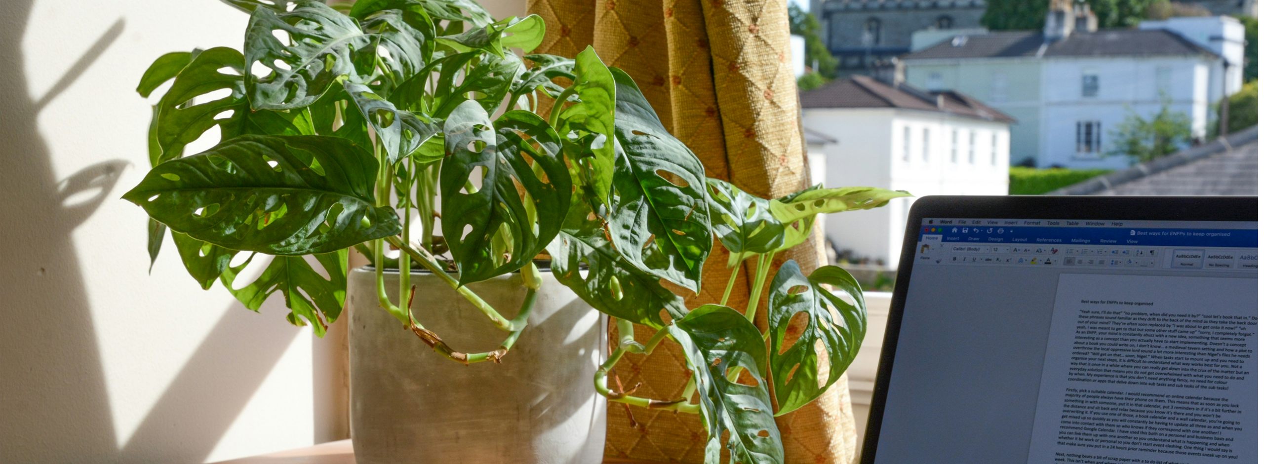 Close-up of desk by a window with a laptop, plant and notebook.
